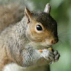 Meet your Posher, Wendy